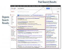 organic search results